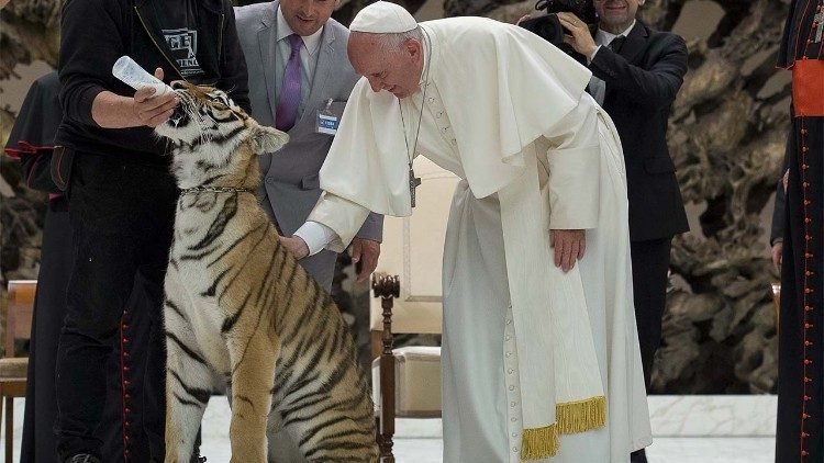 Qué opinó el Papa Francisco sobre el trato a los animales